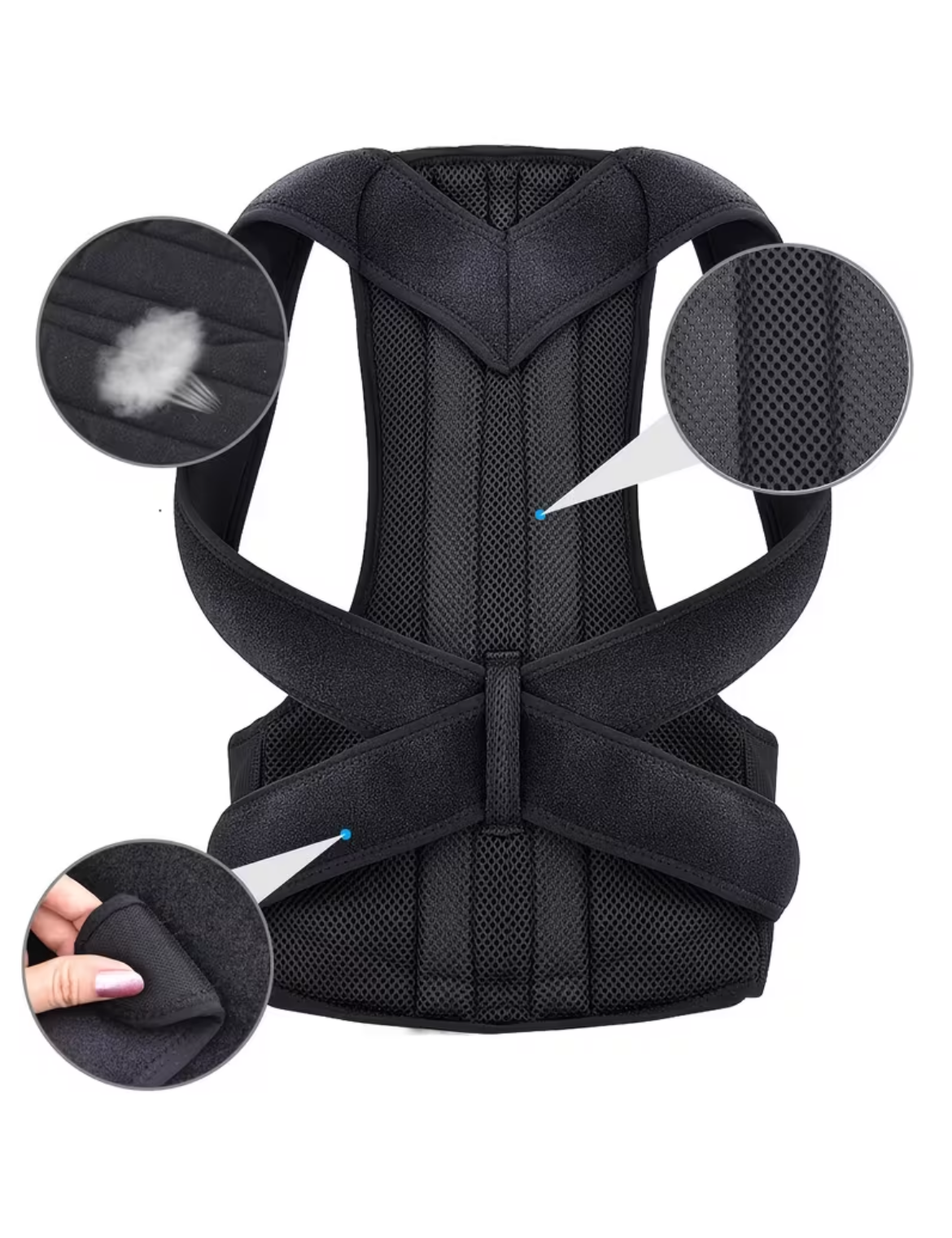 Back Support Belt
